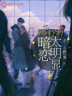 时尚太阳眼镜